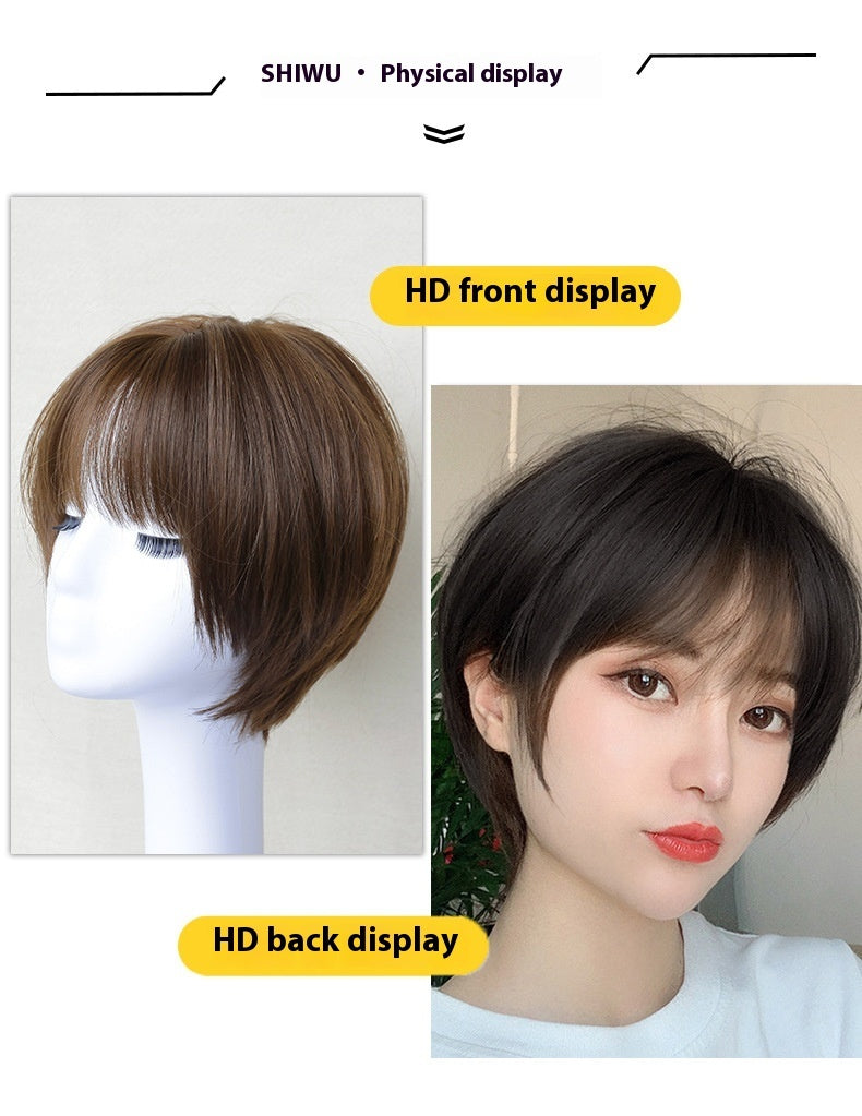 Wig Female All Real Hair Natural & Fluffy Short Straight