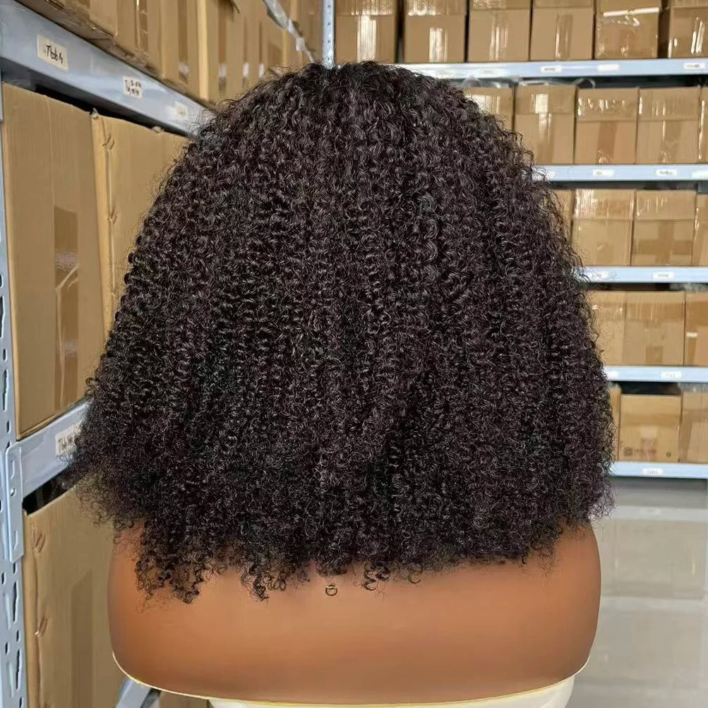CUSTOMIZED Cuticle Aligned Virgin Brazilian Hair Kinky Curly Hair Wigs High Density Transparent hd Lace 4X4 Lace Closure Wigs