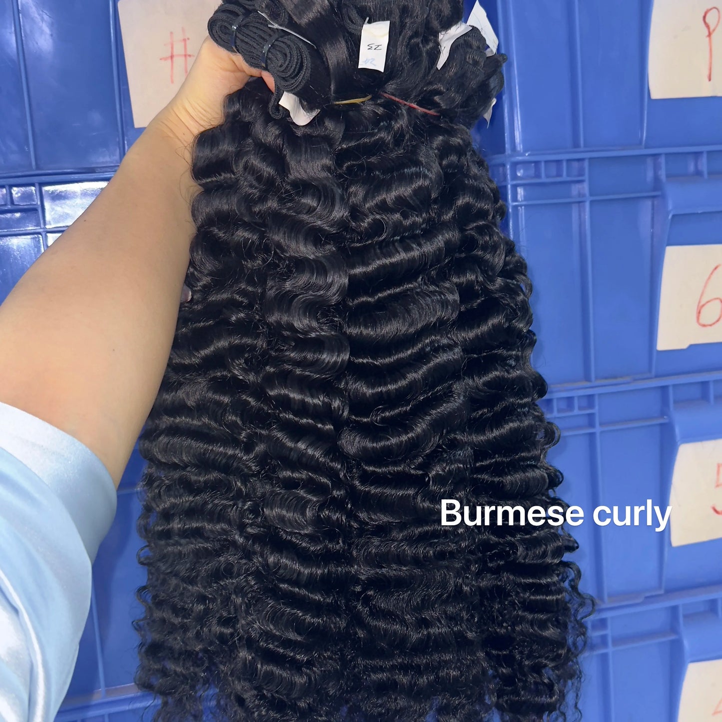 Cuticle Aligned Human Hair Natural Weave Single Donor Raw Hair Vendor Wholesale 100% Unprocessed Burmese Curly Hair Bundles