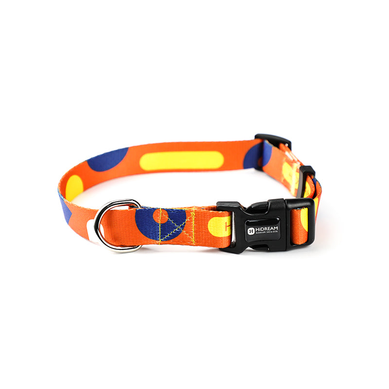 Pet dog collar leash