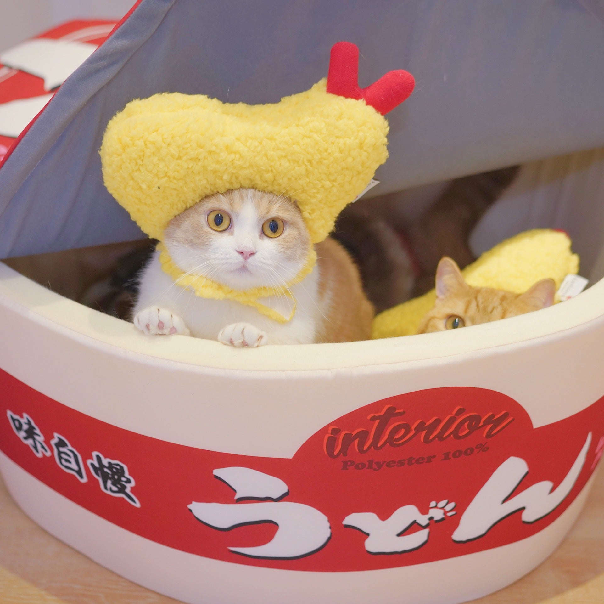 Tempura hat fried shrimp headgear