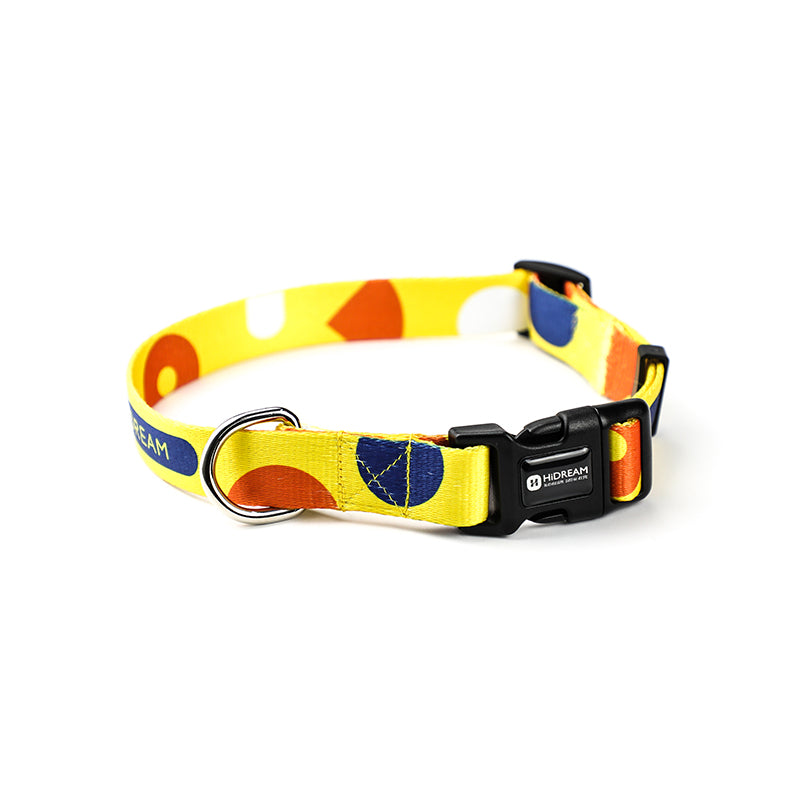 Pet dog collar leash