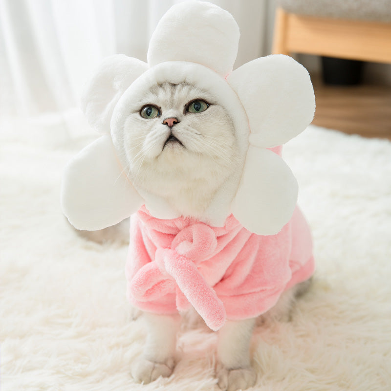 Net red cat disguise small milk cat hairless cat kitten four legged clothes cute cat pet English short autumn winter clothes