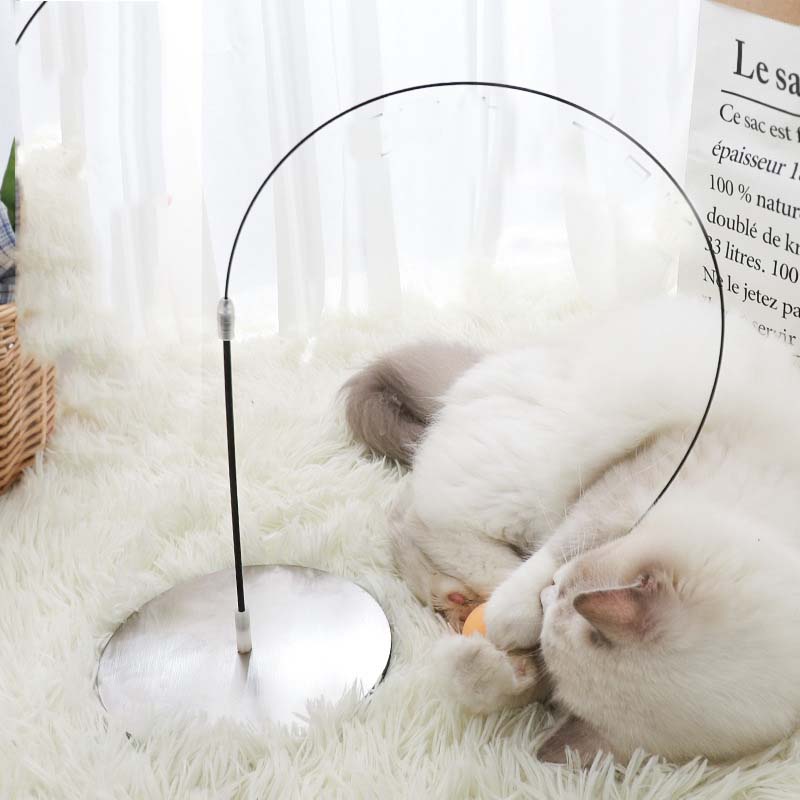 Funny Cat Stick Sucker Type Tumbler Table Tennis Cat Supplies