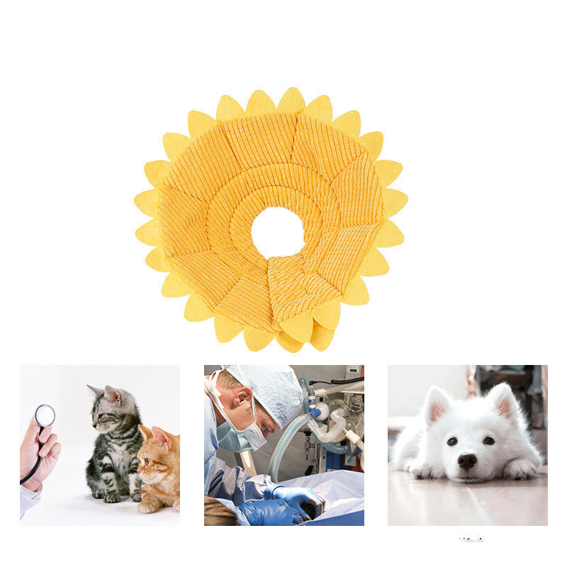 Sunflower Collar Postoperative Protection Ring