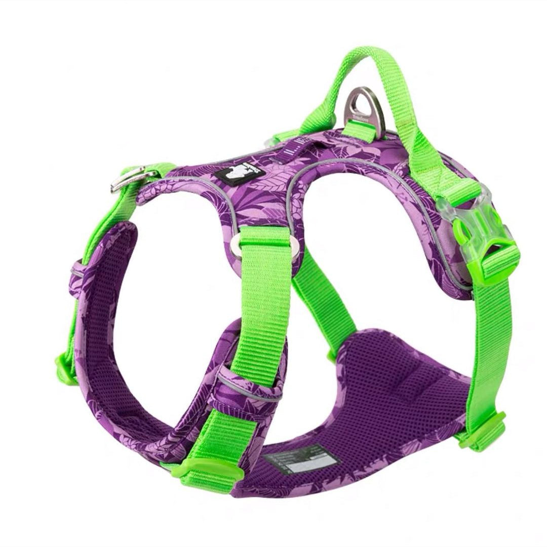 Labrador Comfortable Chest Strap
