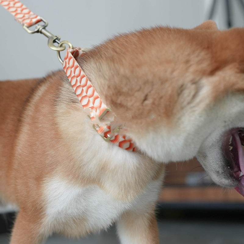 Pet Haulage Rope Package Polyester Wear-resistant Printing