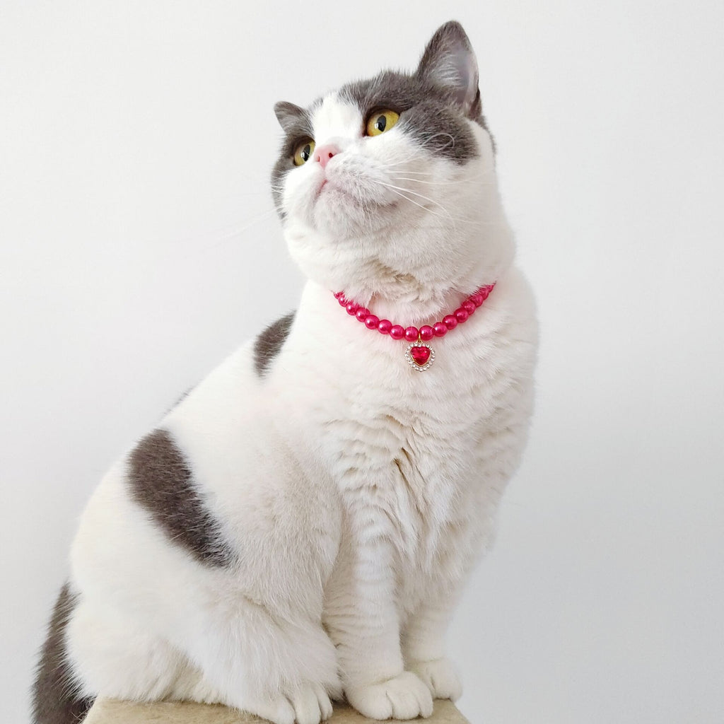 Pet Necklace Cat Pearl Pendant Colorful Gem