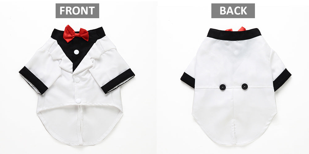 Pet dog suit