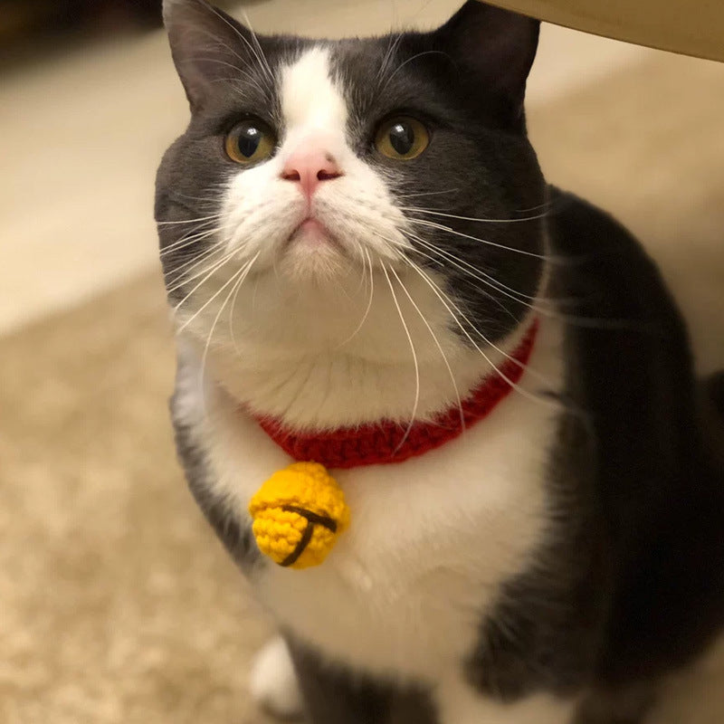 Cat British Short Wool Cute Collar