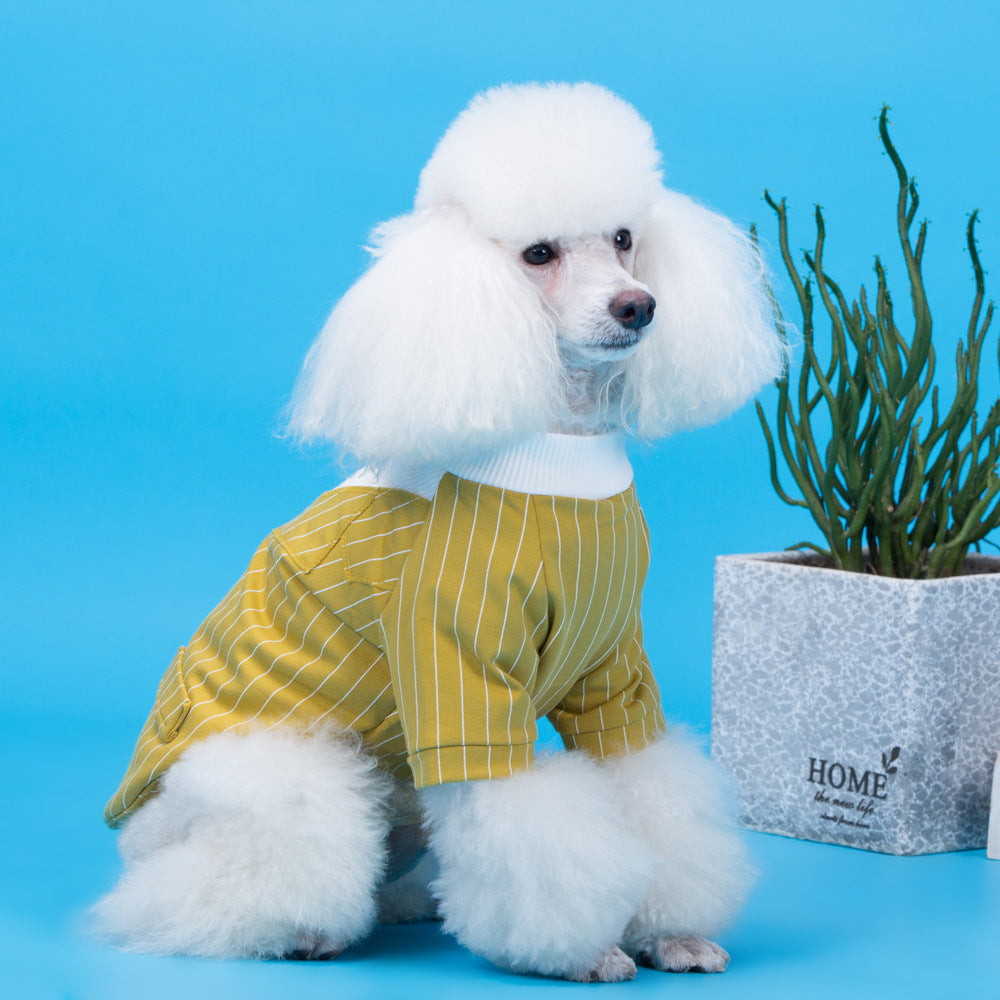 Cotton autumn and winter dog clothes