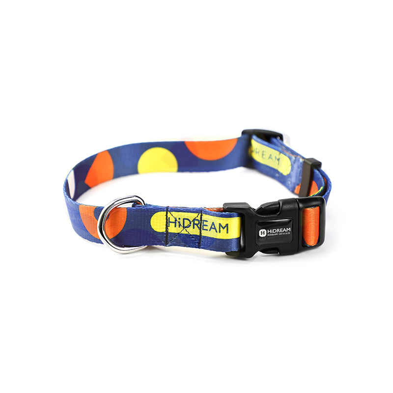 Pet dog collar leash
