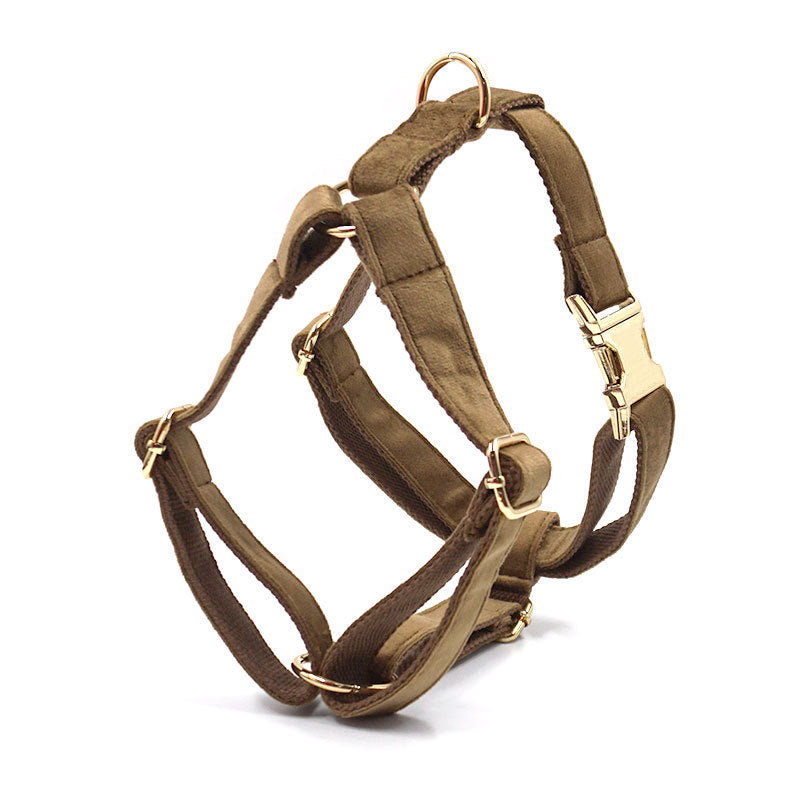 Pet Dog Lettering Collar Walking Velvet Hand Holding Rope