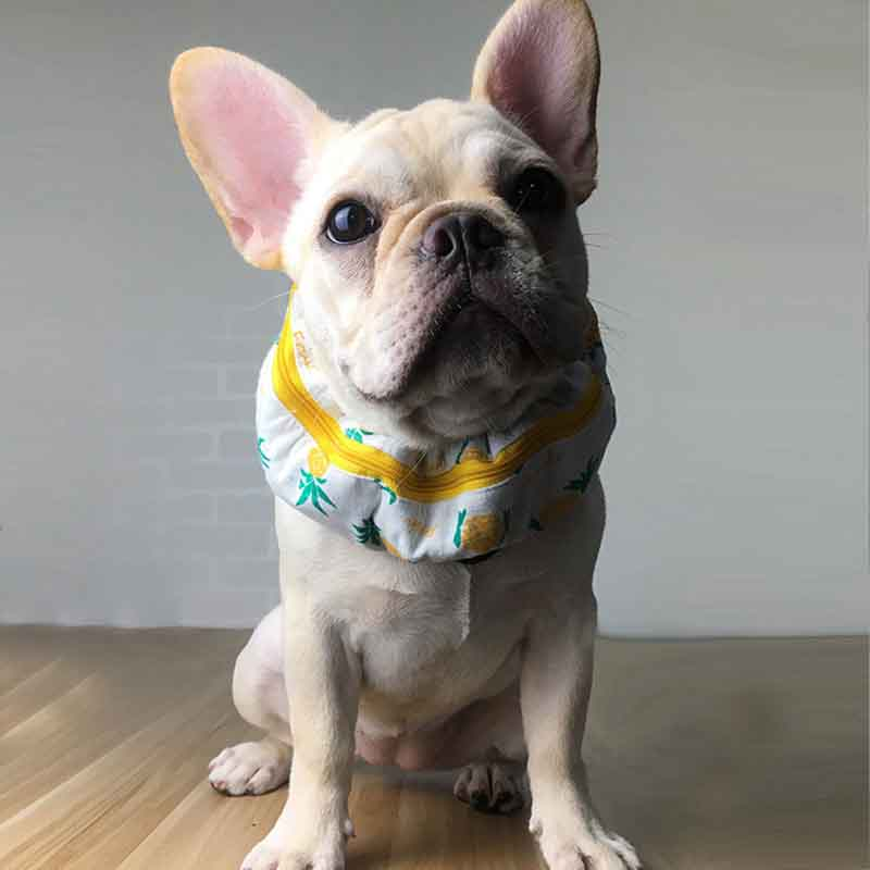 Fadou cold cool scarf
