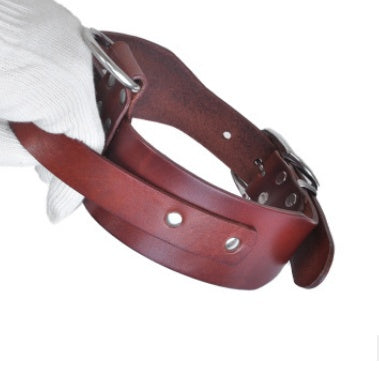 Large and medium sized dog collar adjustable pet collar