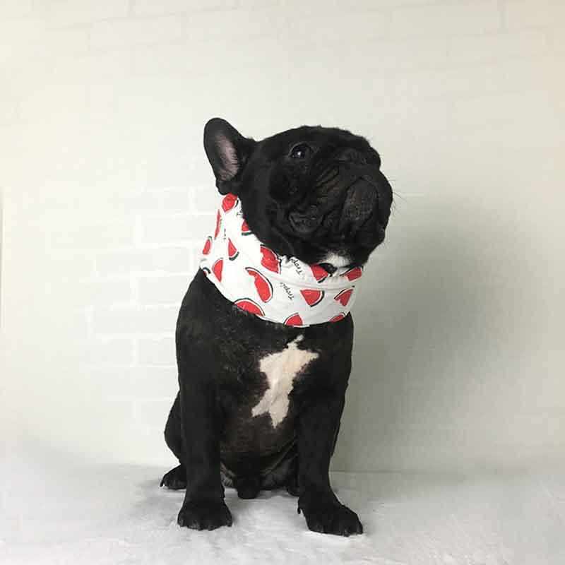 Fadou cold cool scarf
