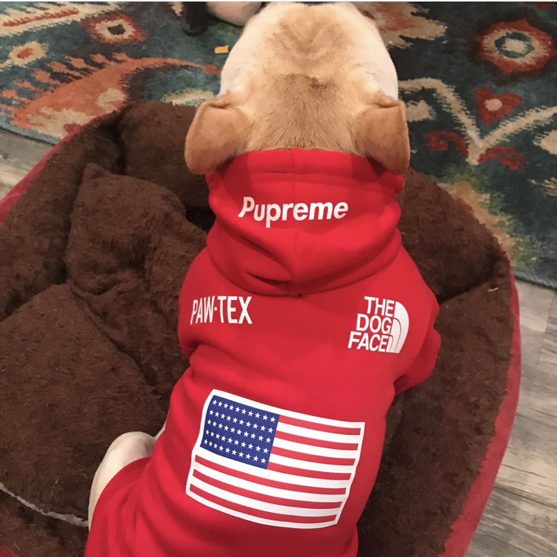 Warm autumn and winter dog clothes