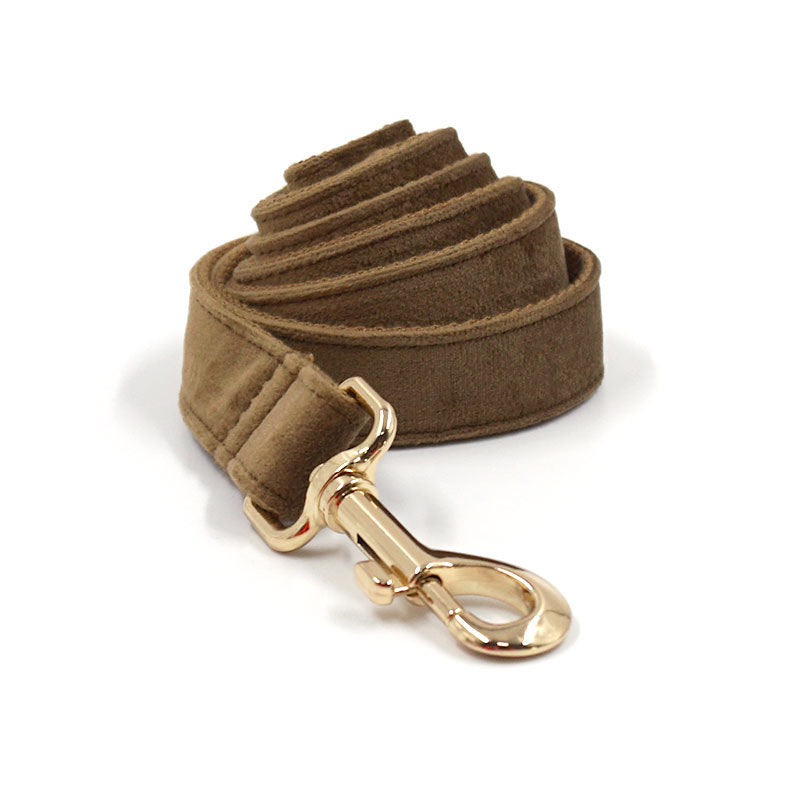 Pet Dog Lettering Collar Walking Velvet Hand Holding Rope