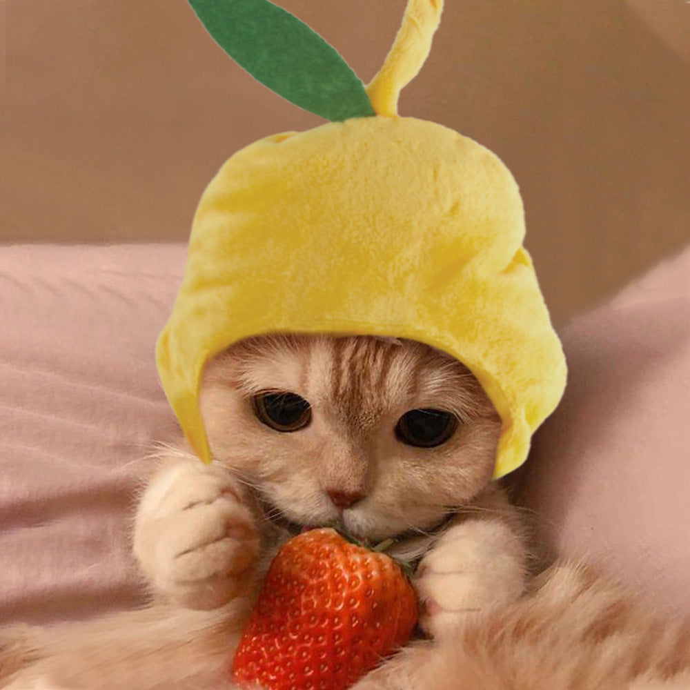 Pet Headgear Cute Dog Teddy Dress Up SUNFLOWER Cat Headdress Wig Cat Headgear Hat