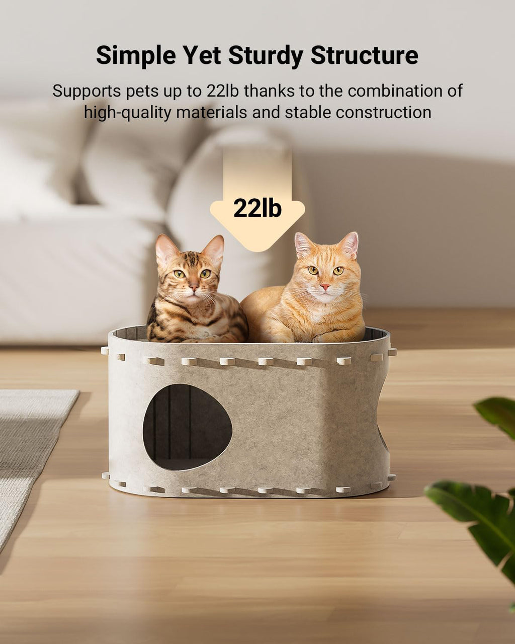 Cat House For Indoor Cats Cat Bed Cave For Multiple Scratch Resistant Peekaboo Cat Caves Foldable Cat Tunnel Enclosed Bed