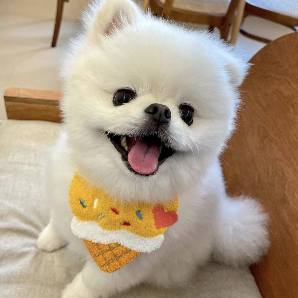 Cute Ice Cream Dog Bib Cat Pet Saliva Pocket Saliva Towel