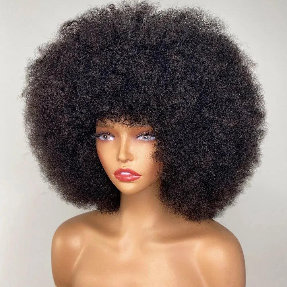 13x1 13x4 Lace Frontal Jerry Curly Wig Hot Human Hair Wig for Black Women 100% Human Hair Cheap Pixie Wig