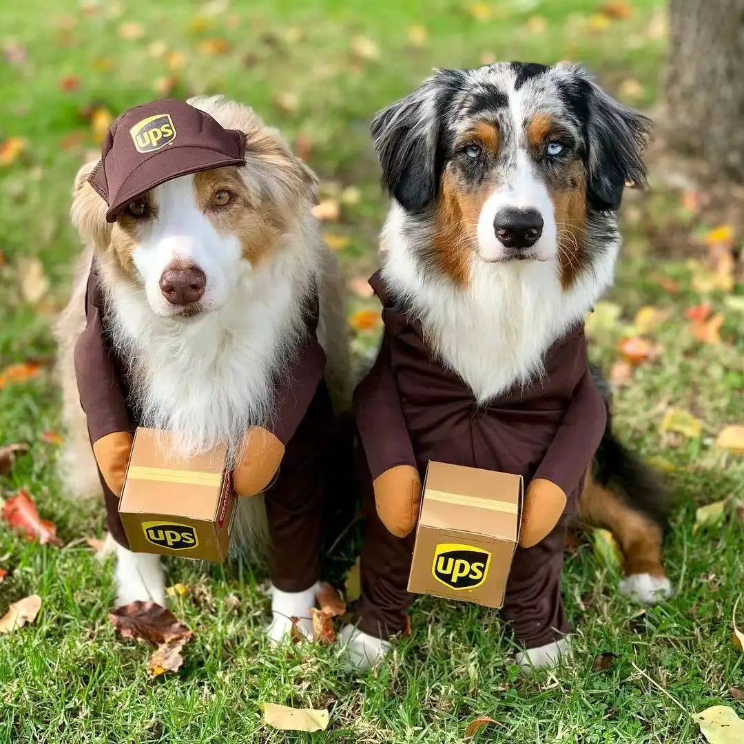 Pet Cosplay Courier Clothing for Dog Cats