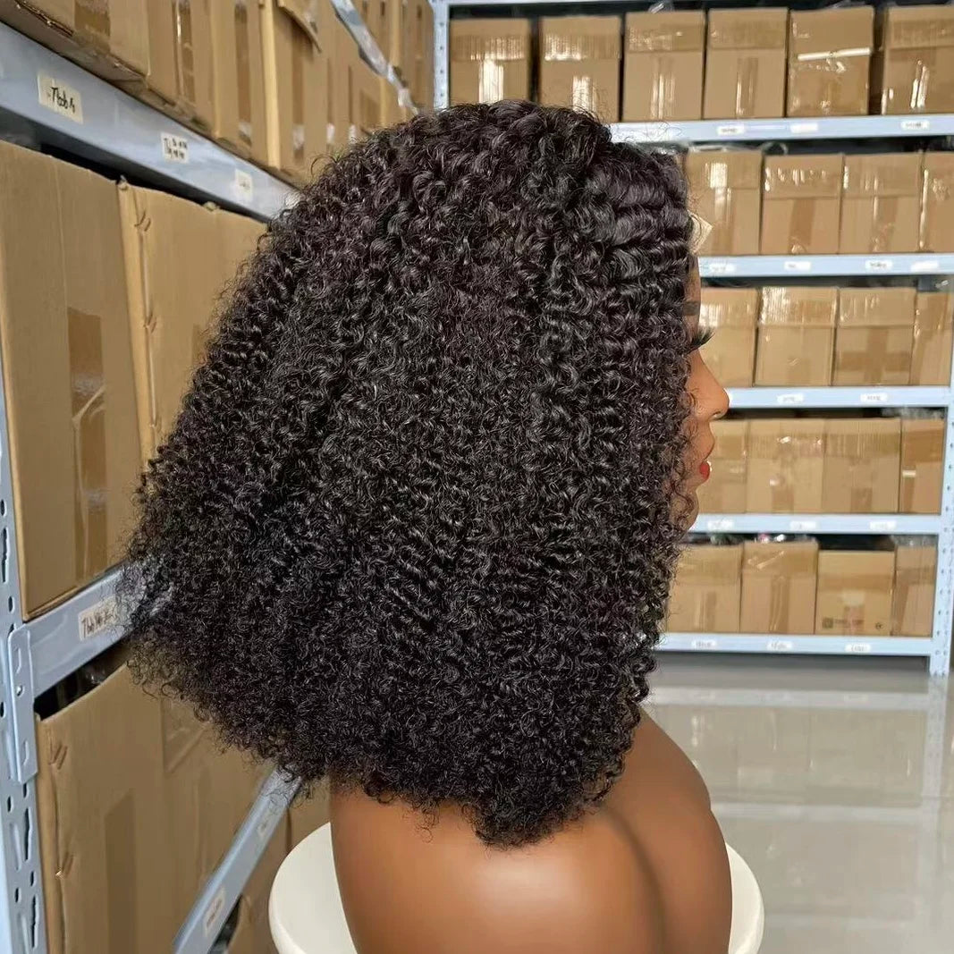 CUSTOMIZED Cuticle Aligned Virgin Brazilian Hair Kinky Curly Hair Wigs High Density Transparent hd Lace 4X4 Lace Closure Wigs