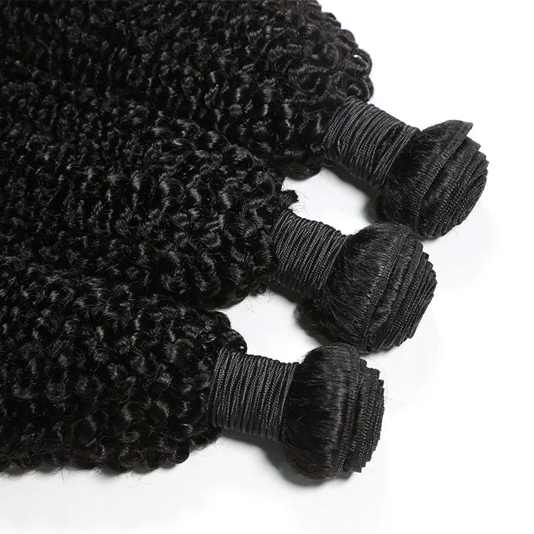 Kinky Curly Hair Bundles With Closure 100% Natural Human Hair Weave Bundles Remy Hair Extensions Natural Black