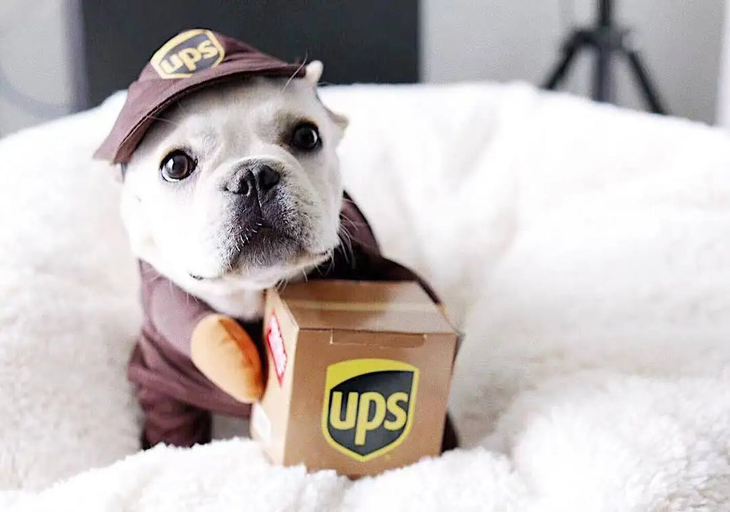 Pet Cosplay Courier Clothing for Dog Cats