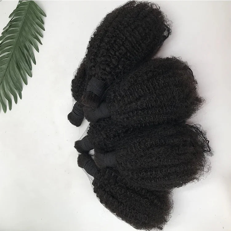 2025 New Arrival Brazilian Virgin Hair Afro 4c Mongolian Kinky Curly Hair Bulks Natural Black 4b Human Hair for Braiding