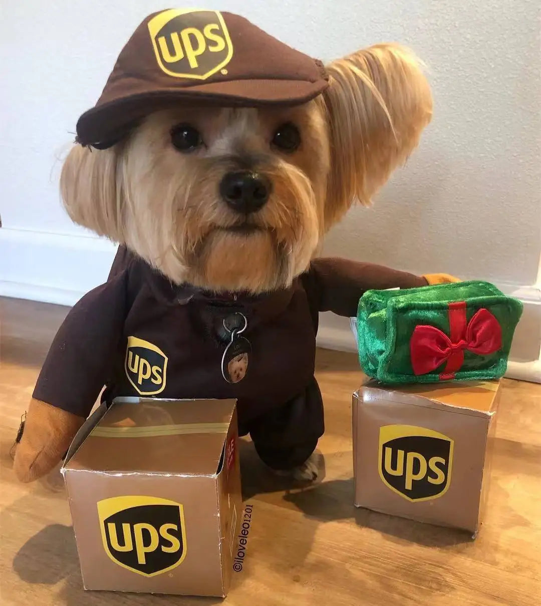 Pet Cosplay Courier Clothing for Dog Cats