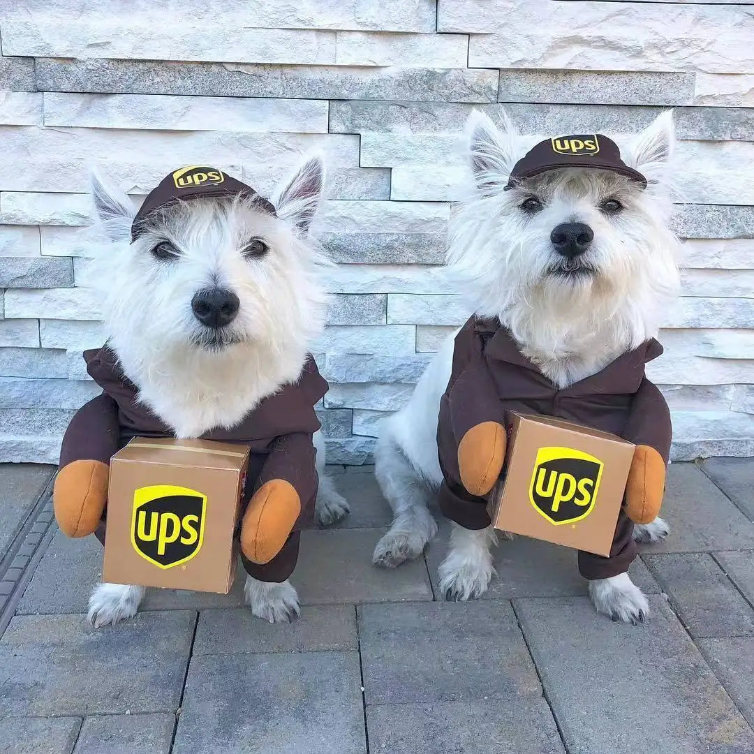 Pet Cosplay Courier Clothing for Dog Cats