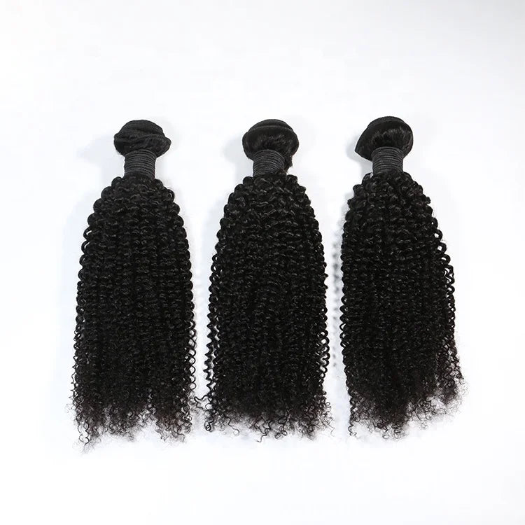 Kinky Curly Hair Bundles With Closure 100% Natural Human Hair Weave Bundles Remy Hair Extensions Natural Black
