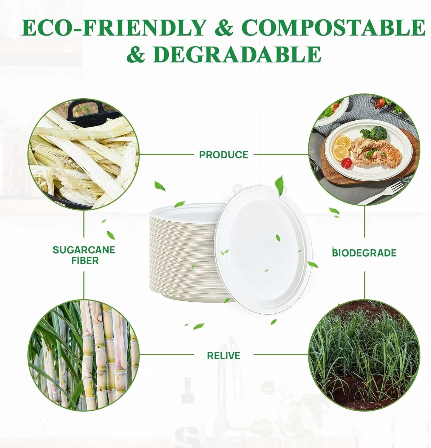 PFAS-Free 125-Pack 10 Inch 3C Heavy Duty Disposable Sugarcane Bagasse Paper Pulp Plate 100% Compostable Color Enamel Technique