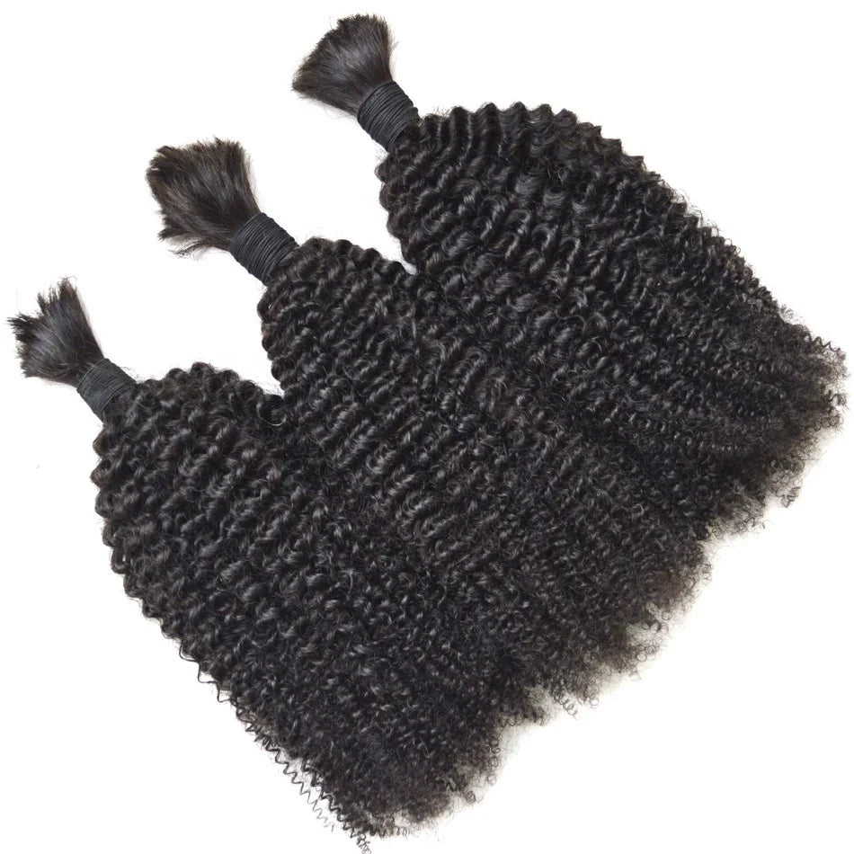 2025 New Arrival Brazilian Virgin Hair Afro 4c Mongolian Kinky Curly Hair Bulks Natural Black 4b Human Hair for Braiding