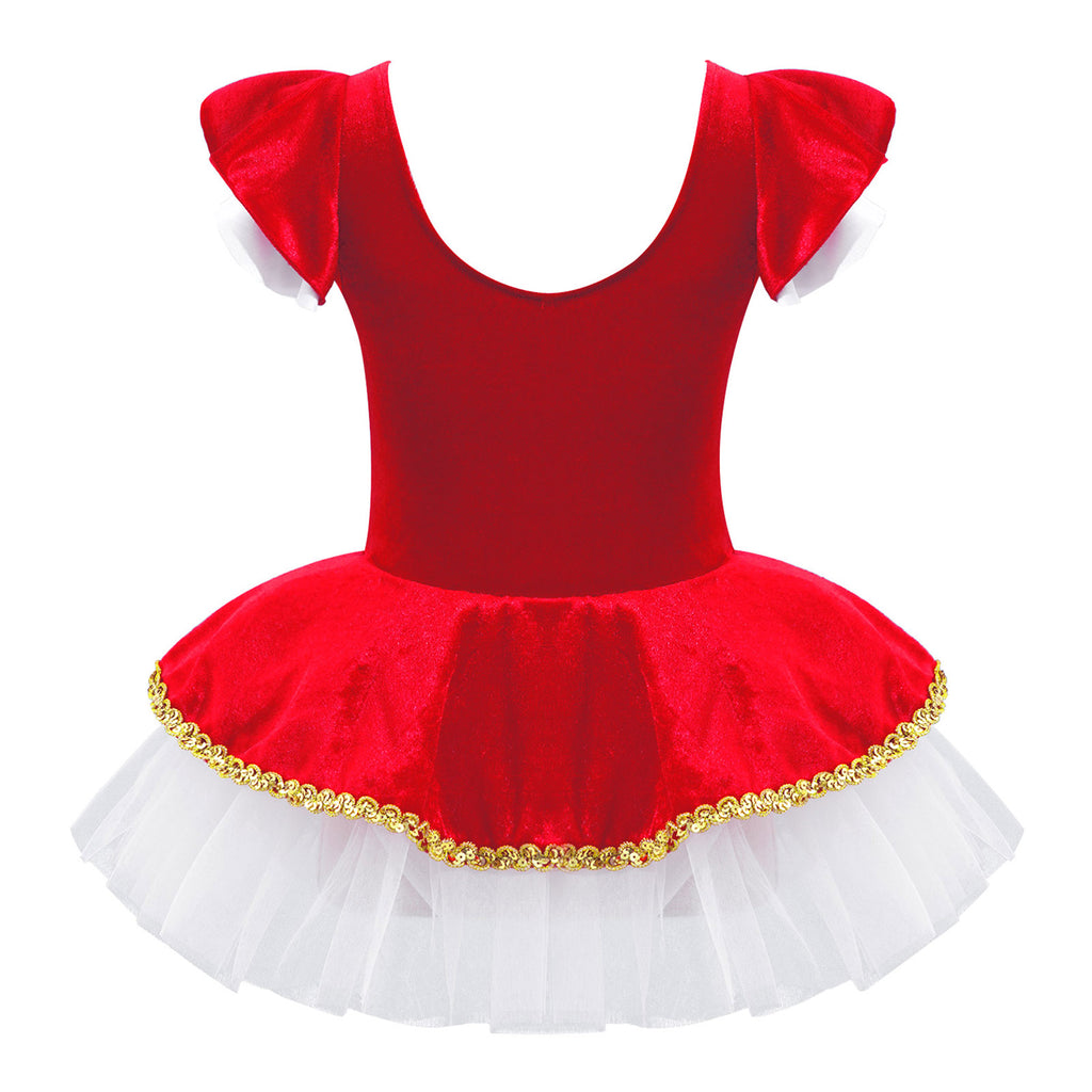 Kids Girls Children Dancer Ballet Dance Dress Gymnastic Leotard Tutu Princess Dress for Stage Performance Clothes Christmas Gift