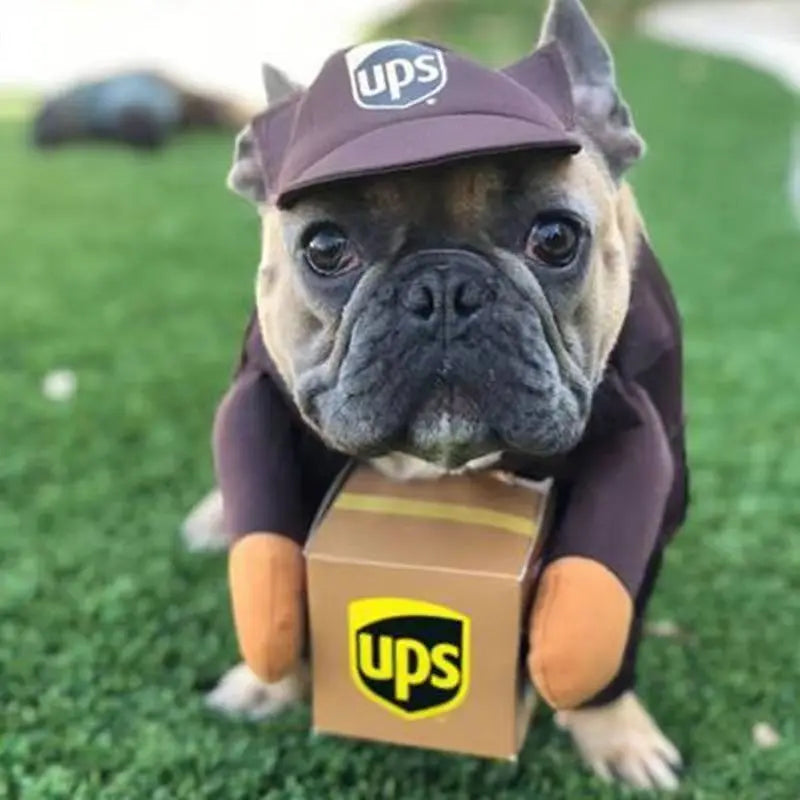 Pet Cosplay Courier Clothing for Dog Cats