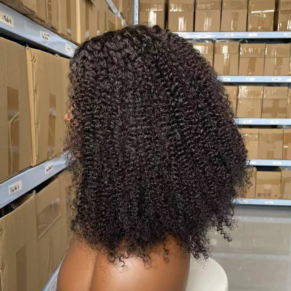 CUSTOMIZED Cuticle Aligned Virgin Brazilian Hair Kinky Curly Hair Wigs High Density Transparent hd Lace 4X4 Lace Closure Wigs