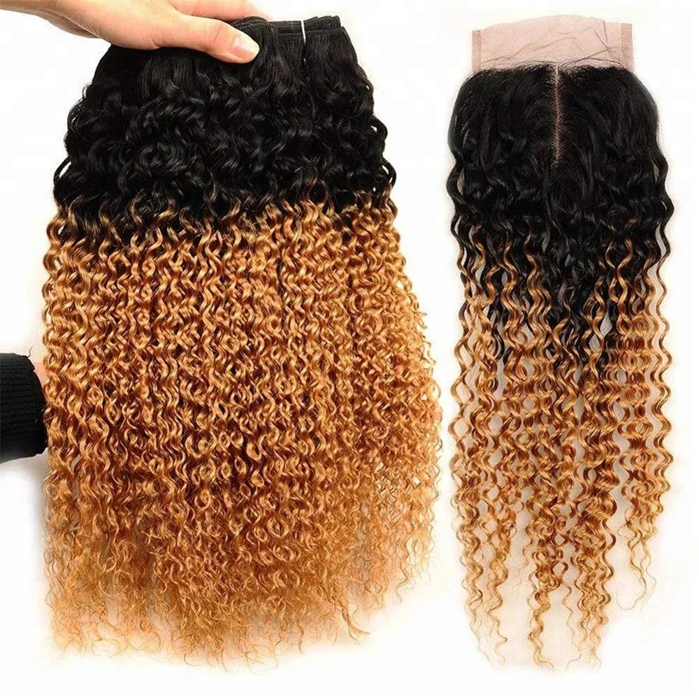 Ine Malaysian 180% Density Orange 12a Quality Cheap Wholesale Virgin Mongolian Kinky Curly Hair 1b 27 Ombre Bundles with Closure
