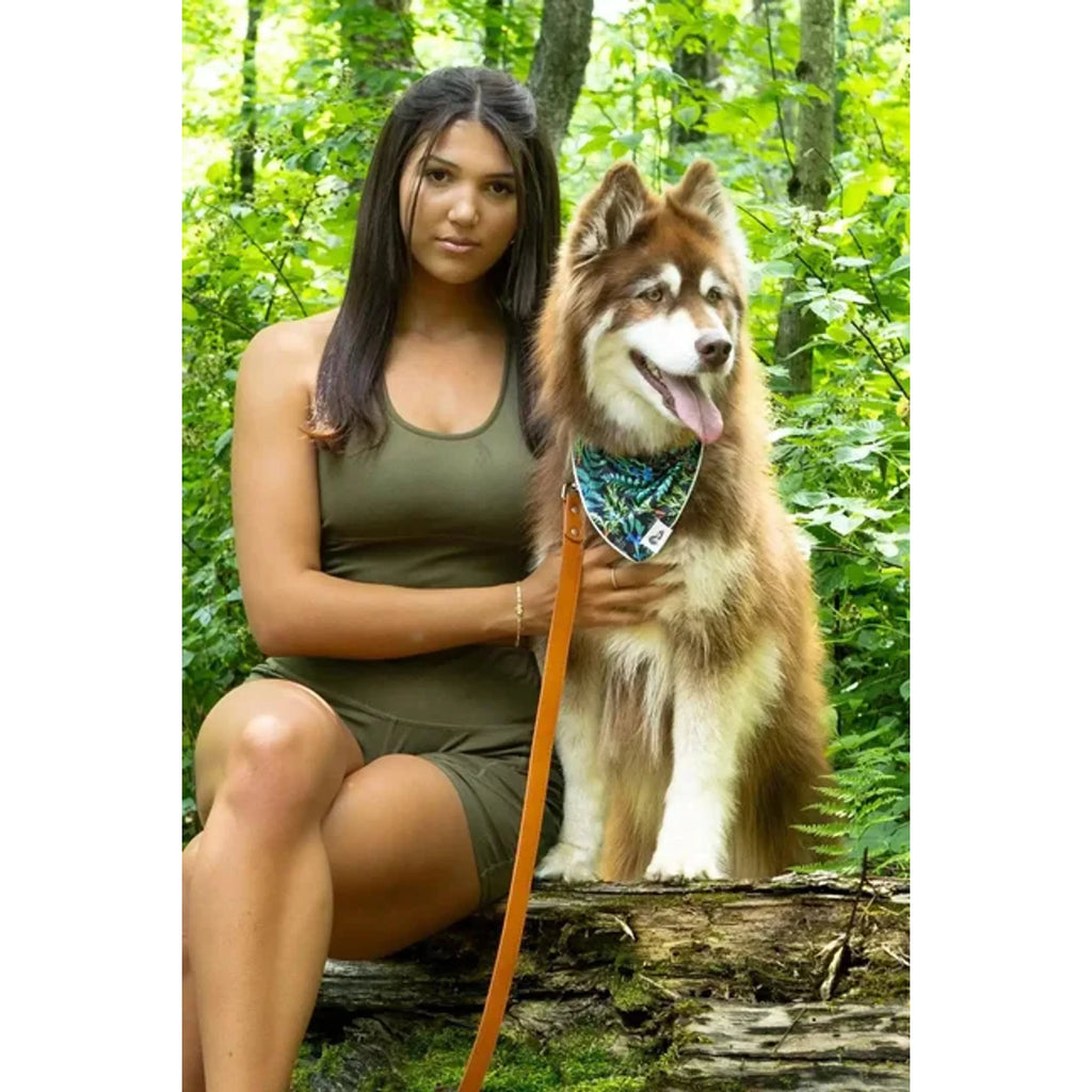TD Pet Collar Sierra Sunrise Vegan Leather Customizable Western Style for Dogs Cats Modern Classic Print Personalized Lights