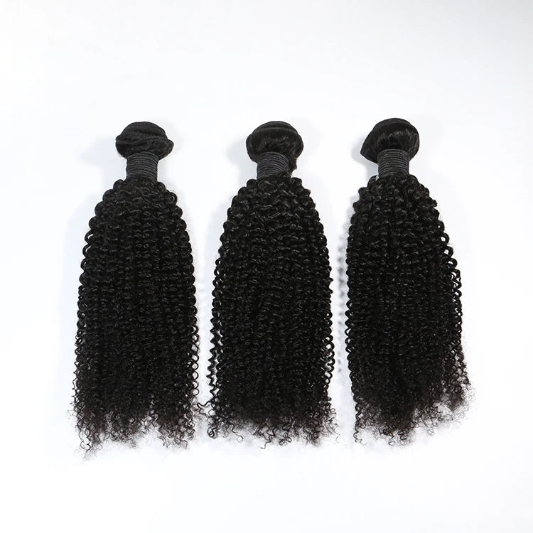 Kinky Curly Hair Bundles With Closure 100% Natural Human Hair Weave Bundles Remy Hair Extensions Natural Black