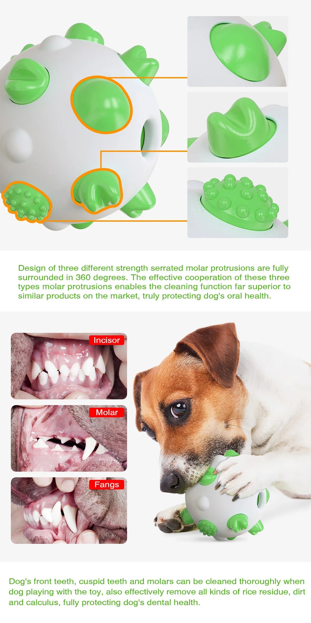Funland Modern Eco-Friendly Waterproof Natural Rubber Dog Pet Chew Ball Toy for Outdoor Training Carton