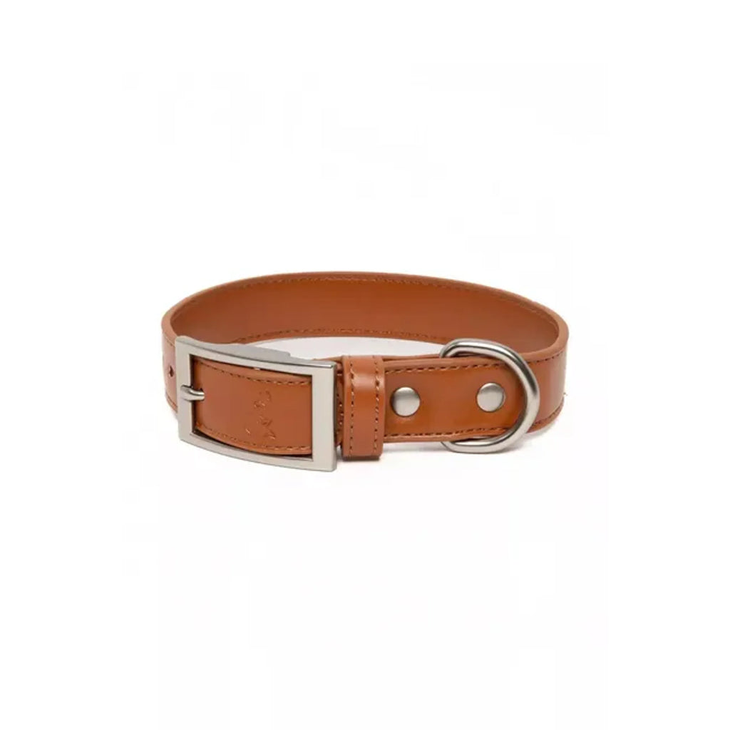 TD Pet Collar Sierra Sunrise Vegan Leather Customizable Western Style for Dogs Cats Modern Classic Print Personalized Lights