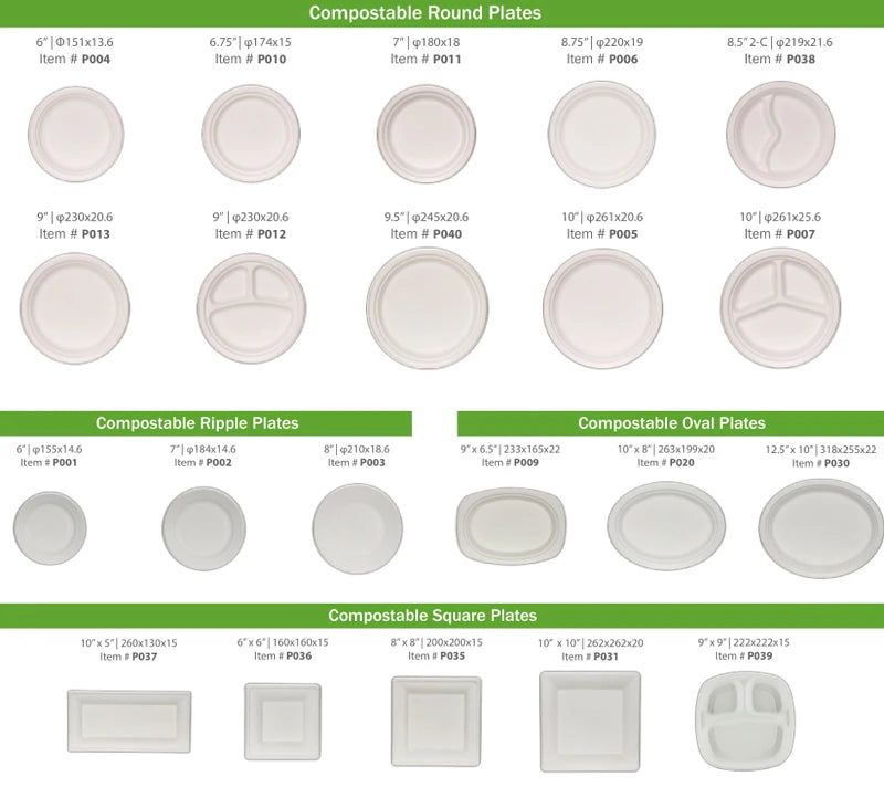 PFAS-Free 125-Pack 10 Inch 3C Heavy Duty Disposable Sugarcane Bagasse Paper Pulp Plate 100% Compostable Color Enamel Technique
