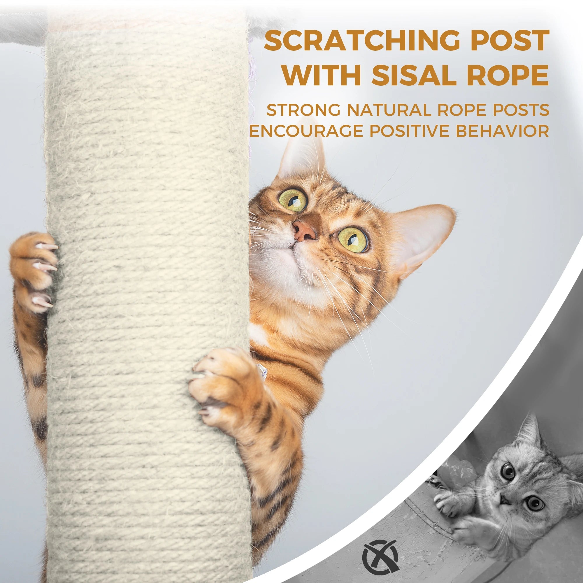 Freestanding Cat Tree US in Stock Free Shipping with Roomy Condo Cozy Hammock Cute House Natural Sisal Rope