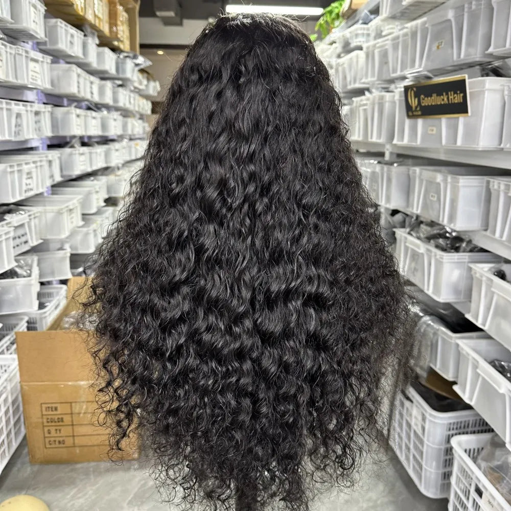 GL Luxury Wigs Bouncy Spring Curly Raw Vietnamese Hair 3D Loose 13x6 Hd Human Hair Lace Front Wig Raw Indian Hair Frontal Wigs