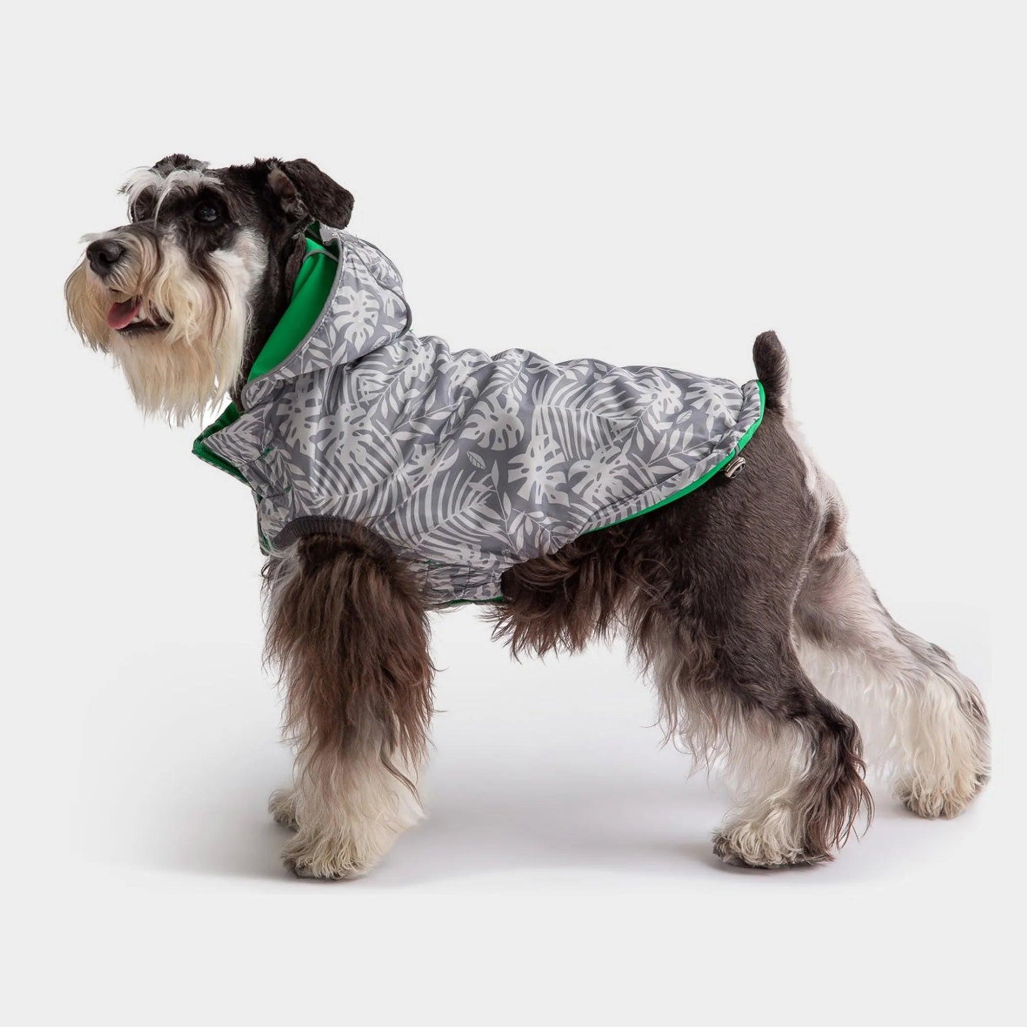 TD GF Elegant Reversible ElastoFit Raincoat for Cats XS Size Breathable Bamboo Latex Material Free Sample Rainy Pet Clothes