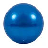 65cm PVC Exercise Yoga Ball for Workout Gym Pilates Pregnant Women Fitness Soft & Durable Balance Ball