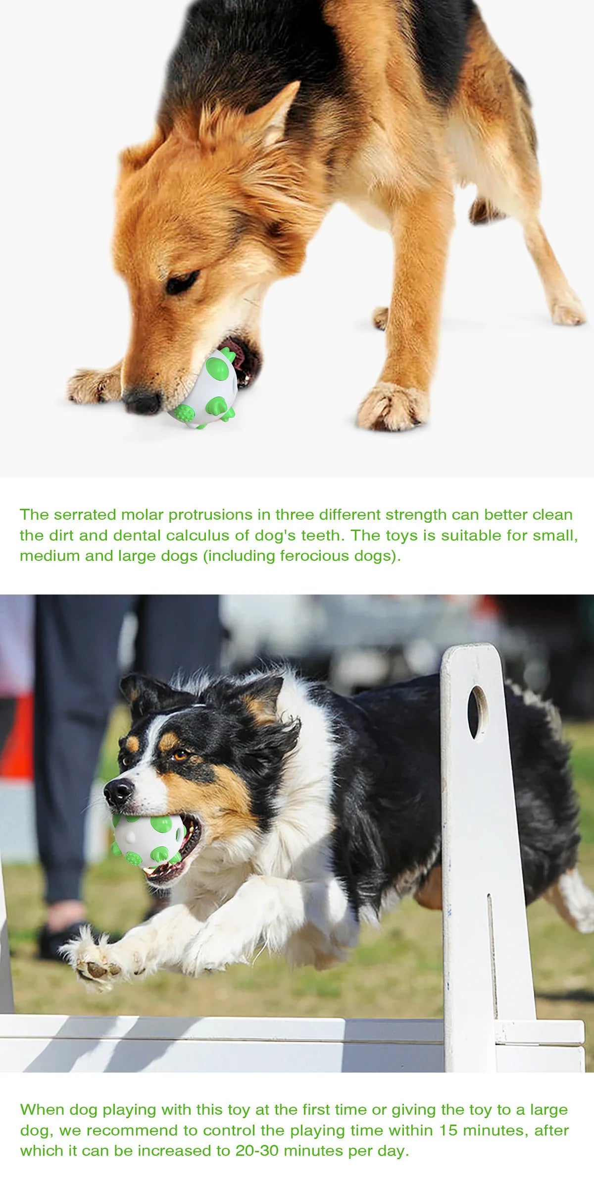 Funland Modern Eco-Friendly Waterproof Natural Rubber Dog Pet Chew Ball Toy for Outdoor Training Carton